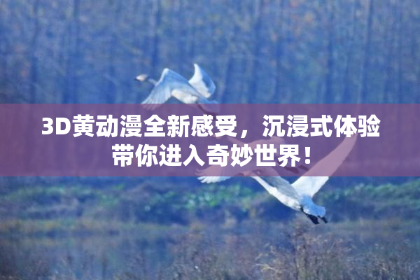 3D黄动漫全新感受，沉浸式体验带你进入奇妙世界！