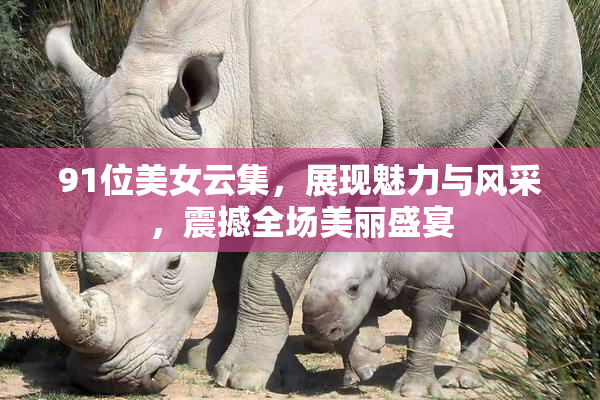 91位美女云集，展现魅力与风采，震撼全场美丽盛宴