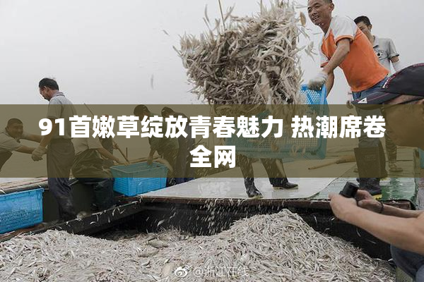 91首嫩草绽放青春魅力 热潮席卷全网