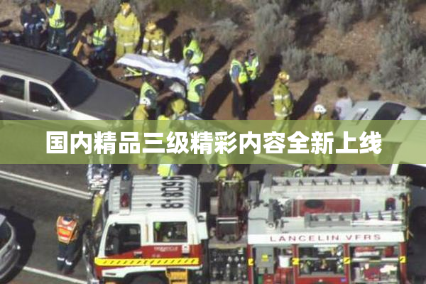国内精品三级精彩内容全新上线