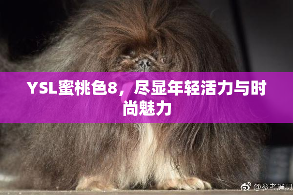 YSL蜜桃色8，尽显年轻活力与时尚魅力