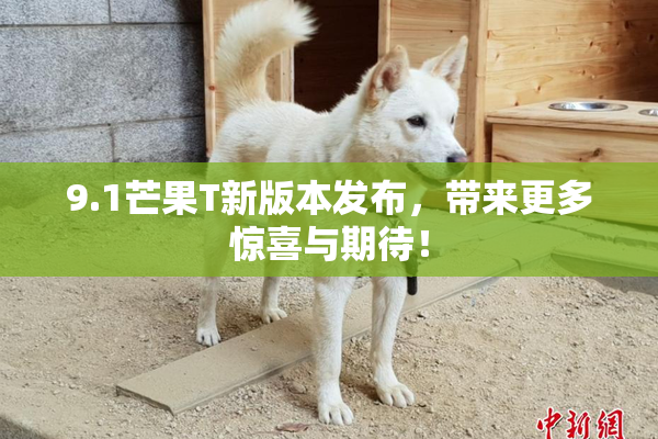 9.1芒果T新版本发布，带来更多惊喜与期待！