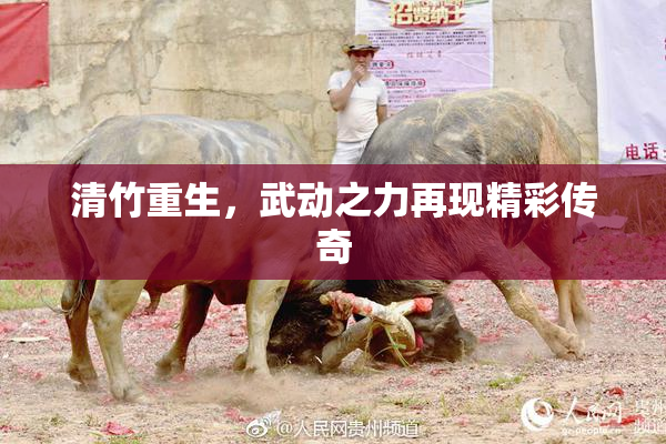 清竹重生，武动之力再现精彩传奇