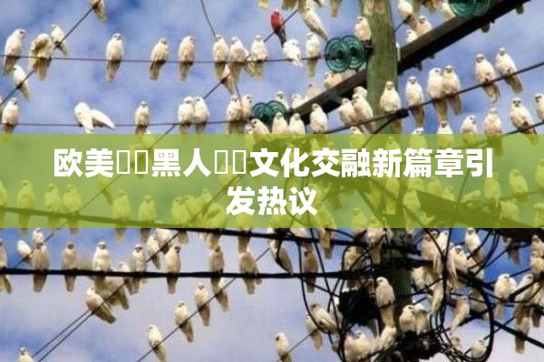 欧美❌‌黑人❌‌文化交融新篇章引发热议