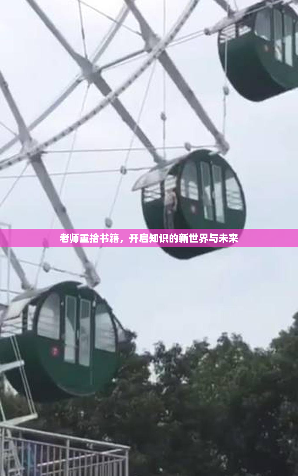 老师重拾书籍，开启知识的新世界与未来