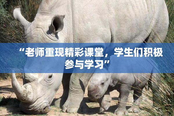 “老师重现精彩课堂，学生们积极参与学习”