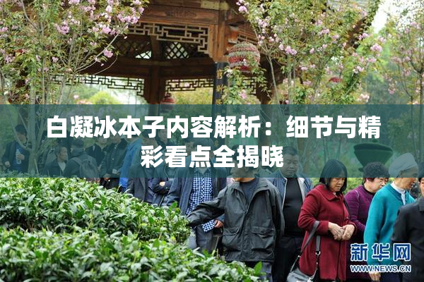 白凝冰本子内容解析：细节与精彩看点全揭晓