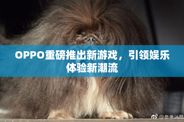 OPPO重磅推出新游戏，引领娱乐体验新潮流