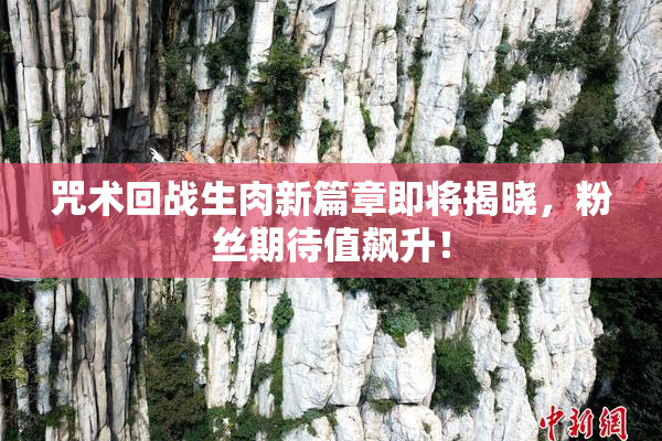 咒术回战生肉新篇章即将揭晓，粉丝期待值飙升！