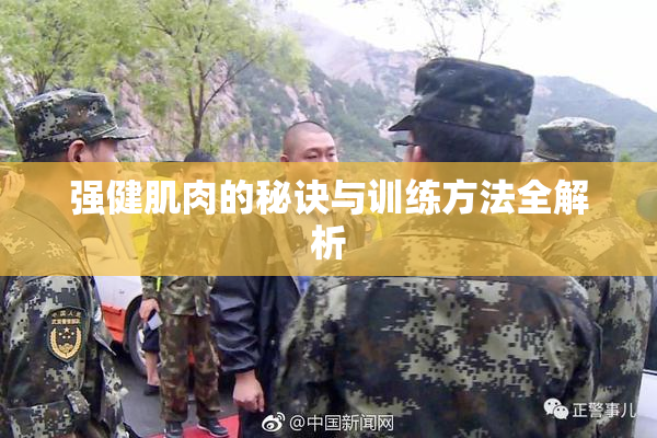 强健肌肉的秘诀与训练方法全解析