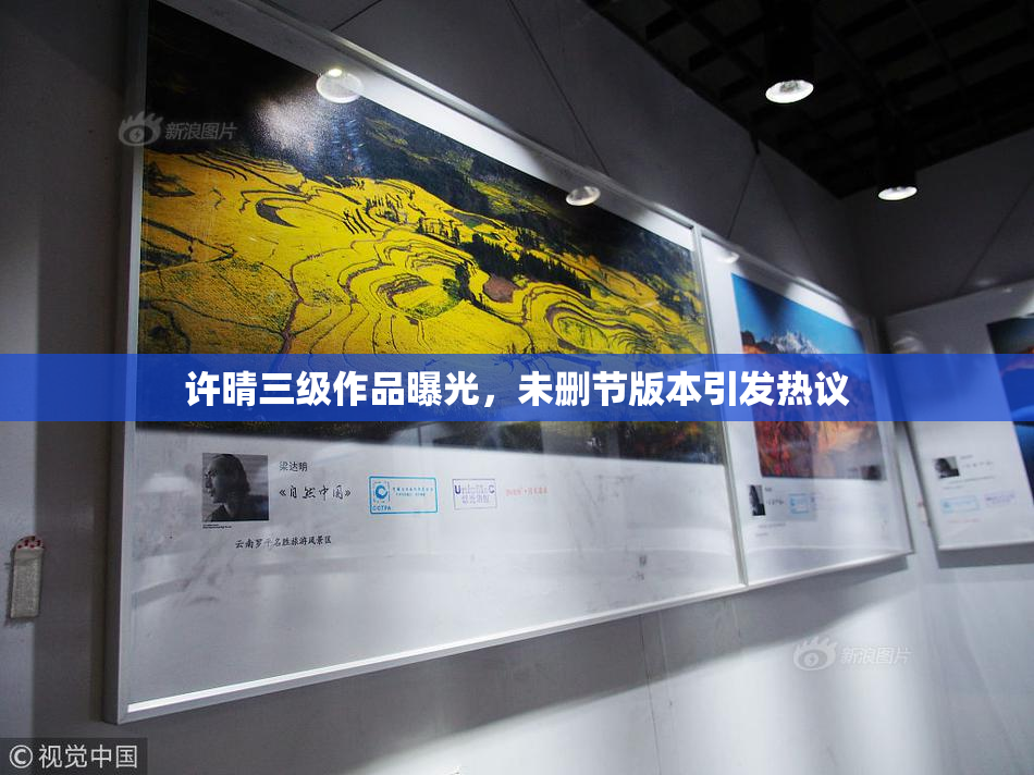 许晴三级作品曝光，未删节版本引发热议