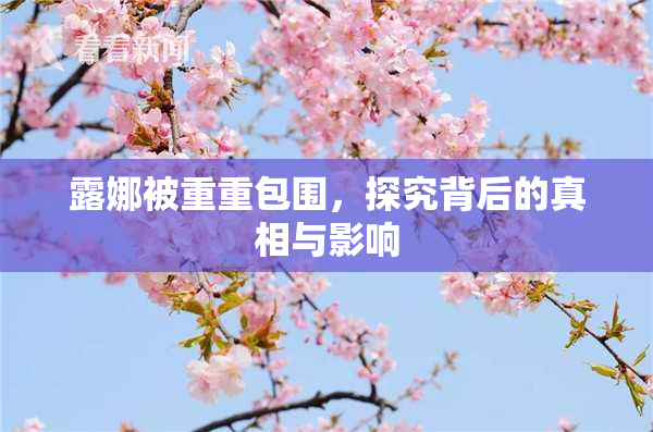露娜被重重包围，探究背后的真相与影响