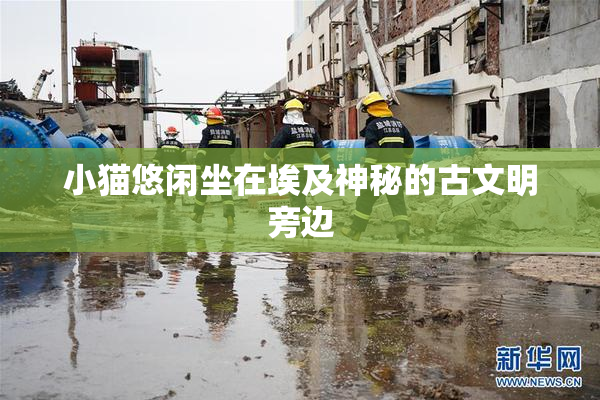 小猫悠闲坐在埃及神秘的古文明旁边