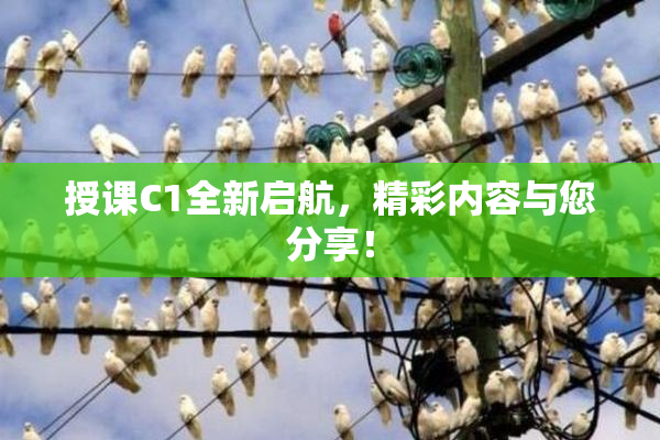 授课C1全新启航，精彩内容与您分享！