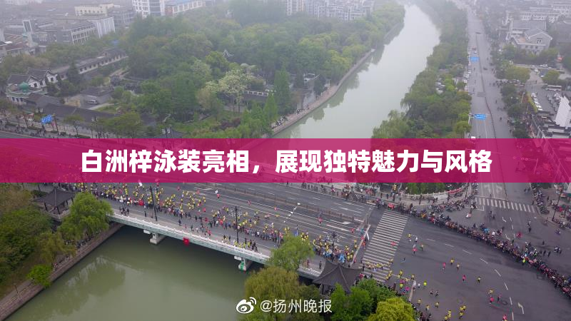 白洲梓泳装亮相，展现独特魅力与风格