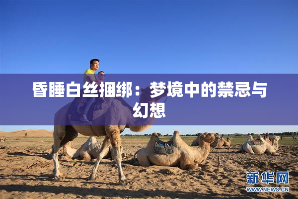 昏睡白丝捆绑：梦境中的禁忌与幻想