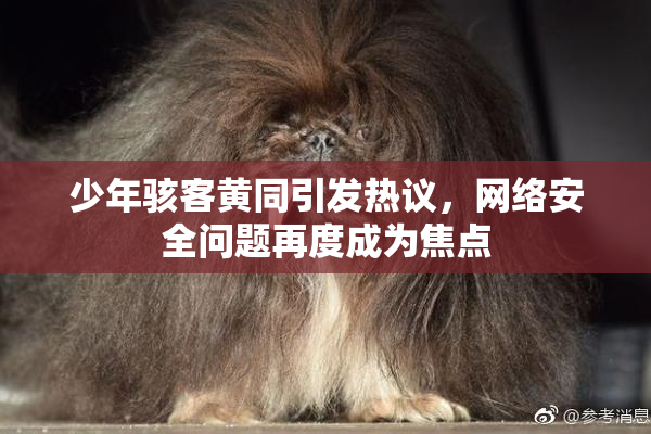 少年骇客黄同引发热议，网络安全问题再度成为焦点