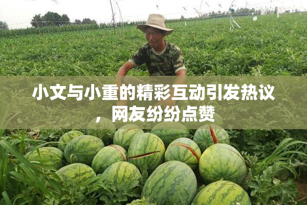 小文与小重的精彩互动引发热议，网友纷纷点赞