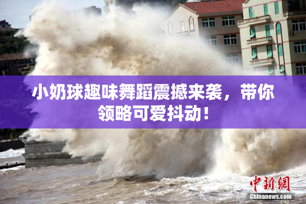 小奶球趣味舞蹈震撼来袭，带你领略可爱抖动！