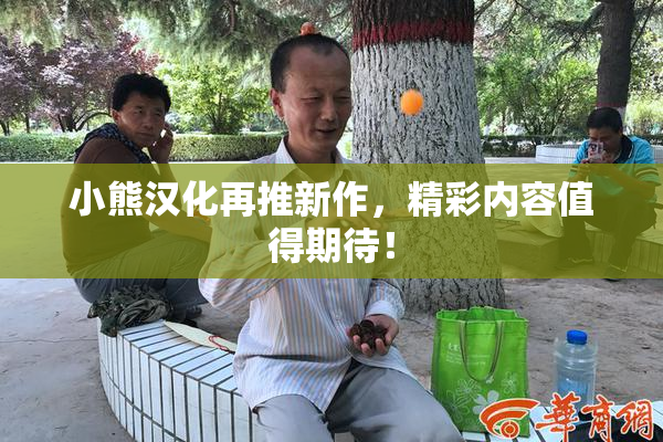 小熊汉化再推新作，精彩内容值得期待！