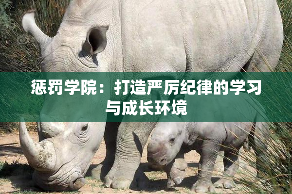 惩罚学院：打造严厉纪律的学习与成长环境