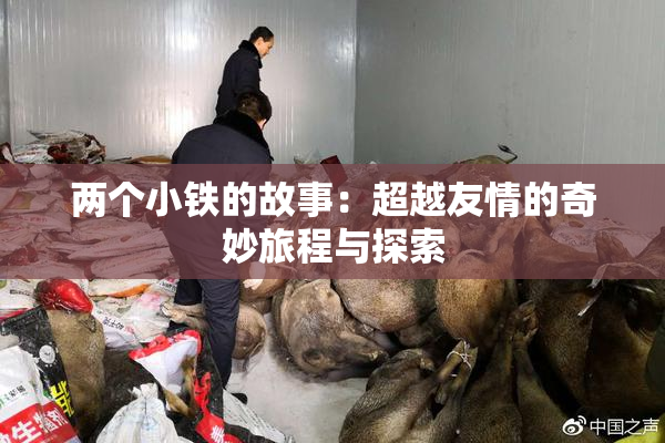 两个小铁的故事：超越友情的奇妙旅程与探索