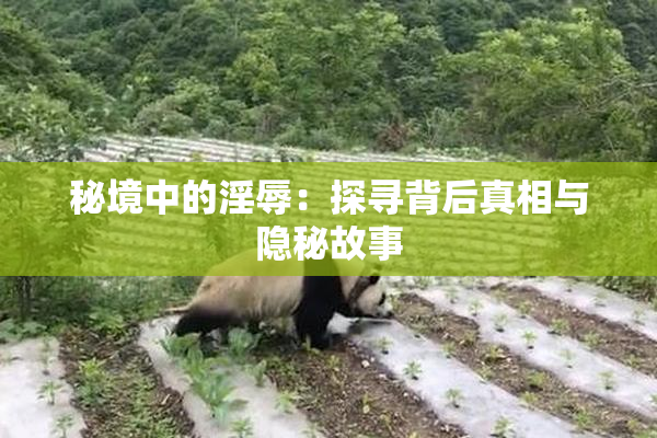 秘境中的淫辱：探寻背后真相与隐秘故事
