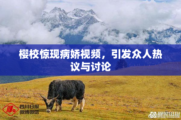 樱校惊现病娇视频，引发众人热议与讨论