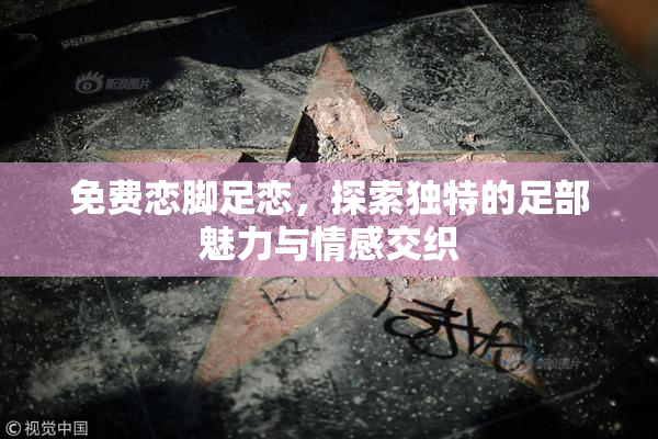 免费恋脚足恋，探索独特的足部魅力与情感交织