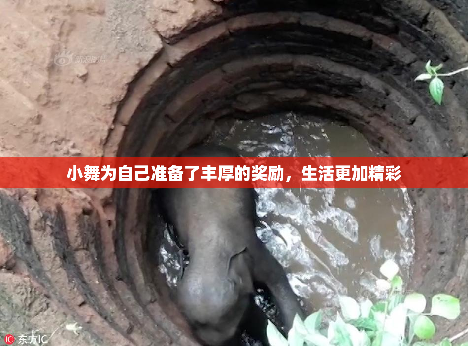 小舞为自己准备了丰厚的奖励，生活更加精彩