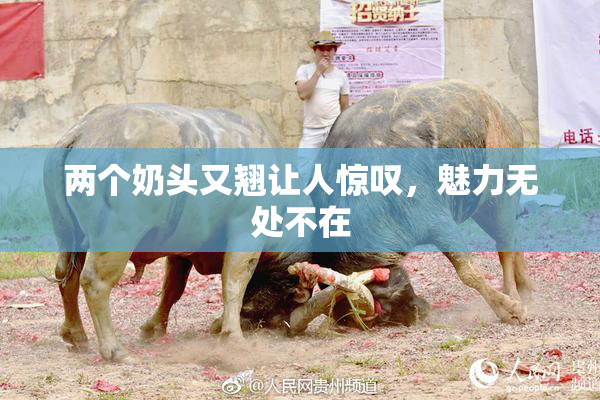 两个奶头又翘让人惊叹，魅力无处不在