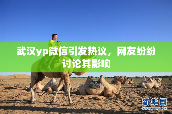 武汉yp微信引发热议，网友纷纷讨论其影响
