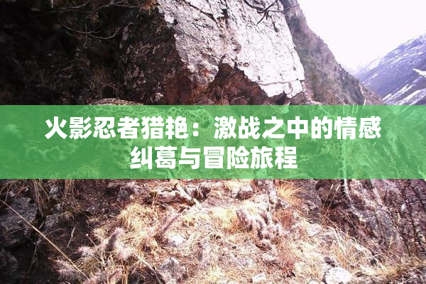 火影忍者猎艳：激战之中的情感纠葛与冒险旅程