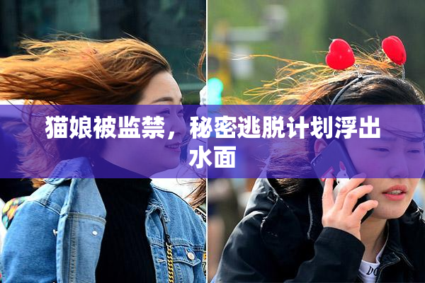 猫娘被监禁，秘密逃脱计划浮出水面