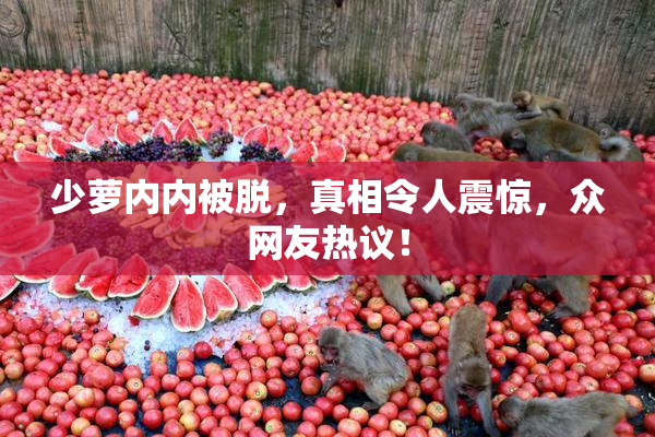 少萝内内被脱，真相令人震惊，众网友热议！