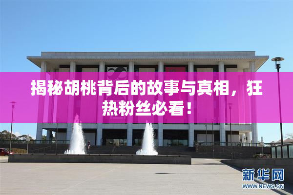 揭秘胡桃背后的故事与真相，狂热粉丝必看！