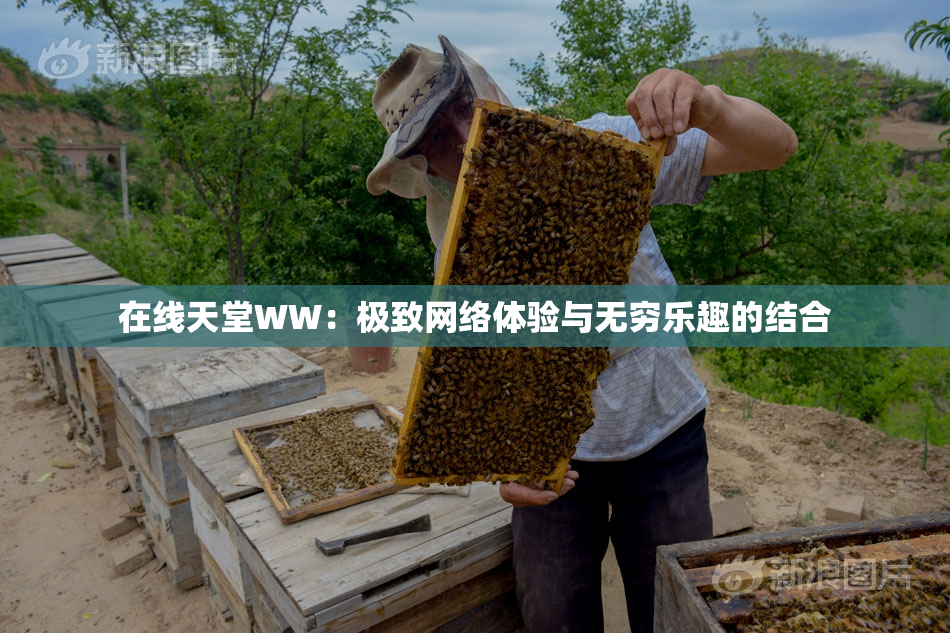 在线天堂WW：极致网络体验与无穷乐趣的结合