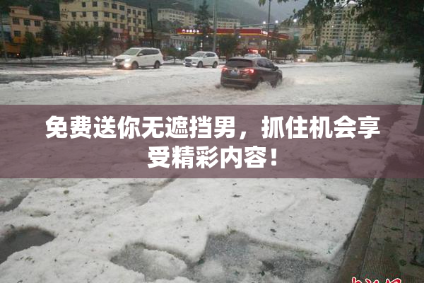 免费送你无遮挡男，抓住机会享受精彩内容！