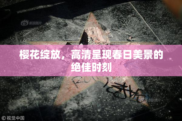 樱花绽放，高清呈现春日美景的绝佳时刻
