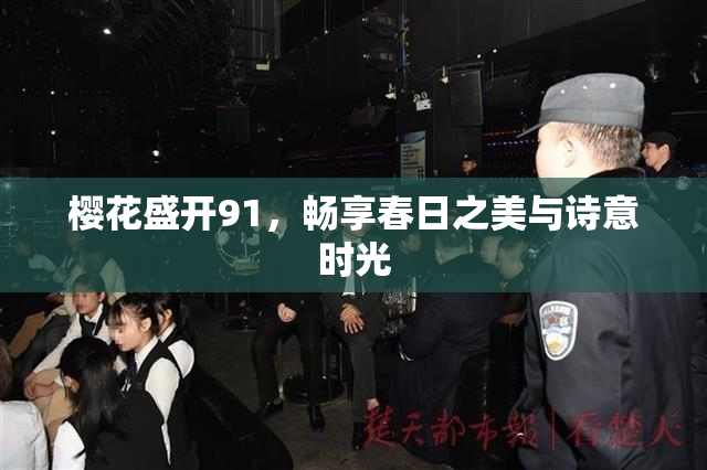 樱花盛开91，畅享春日之美与诗意时光