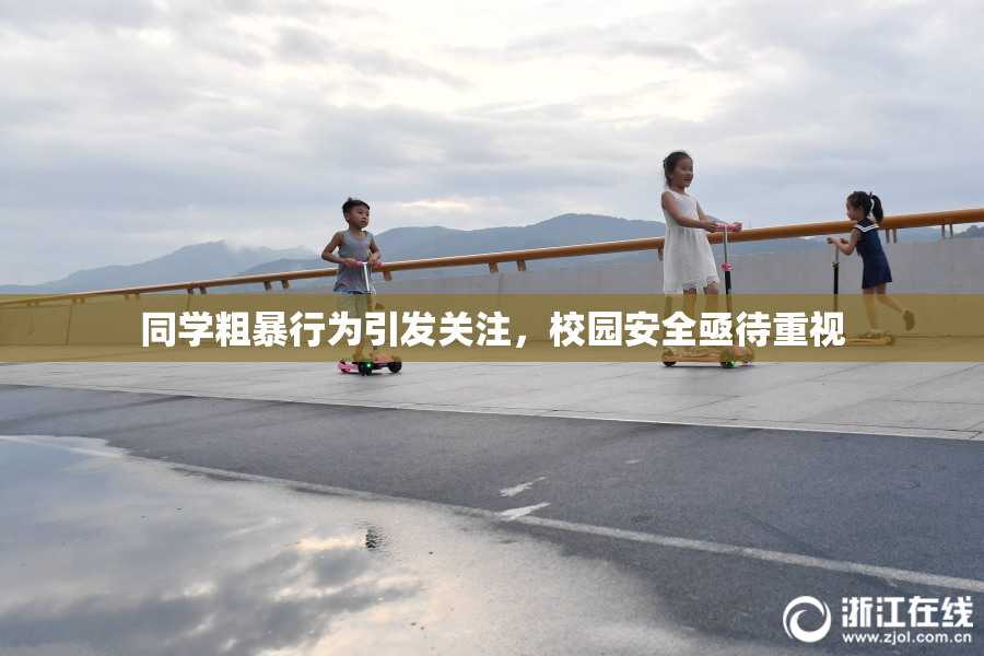 同学粗暴行为引发关注，校园安全亟待重视