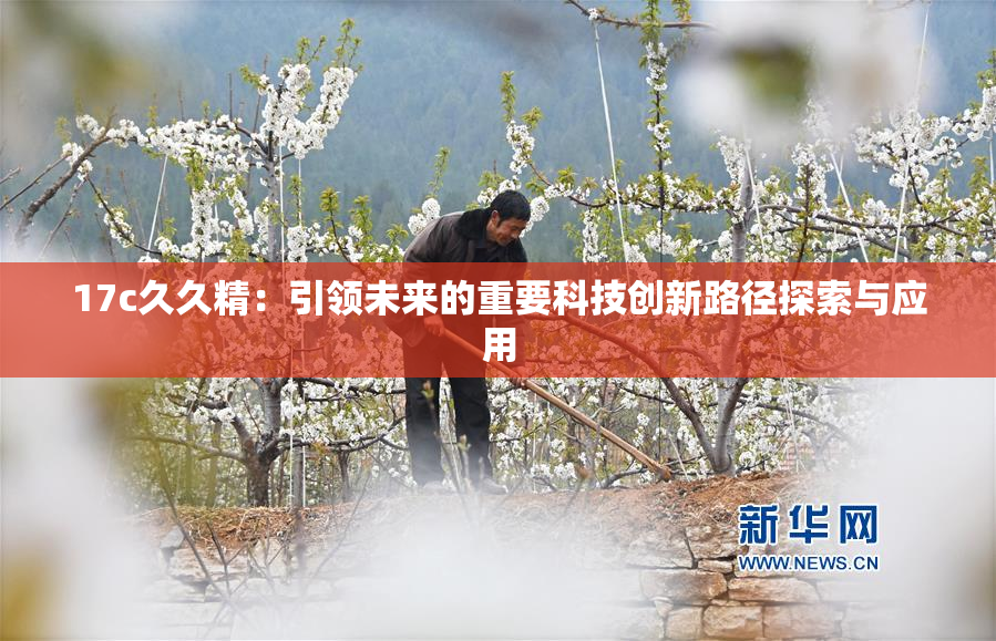 17c久久精：引领未来的重要科技创新路径探索与应用