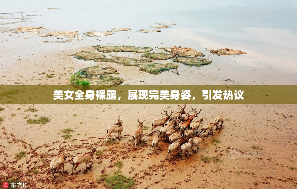 美女全身裸露，展现完美身姿，引发热议