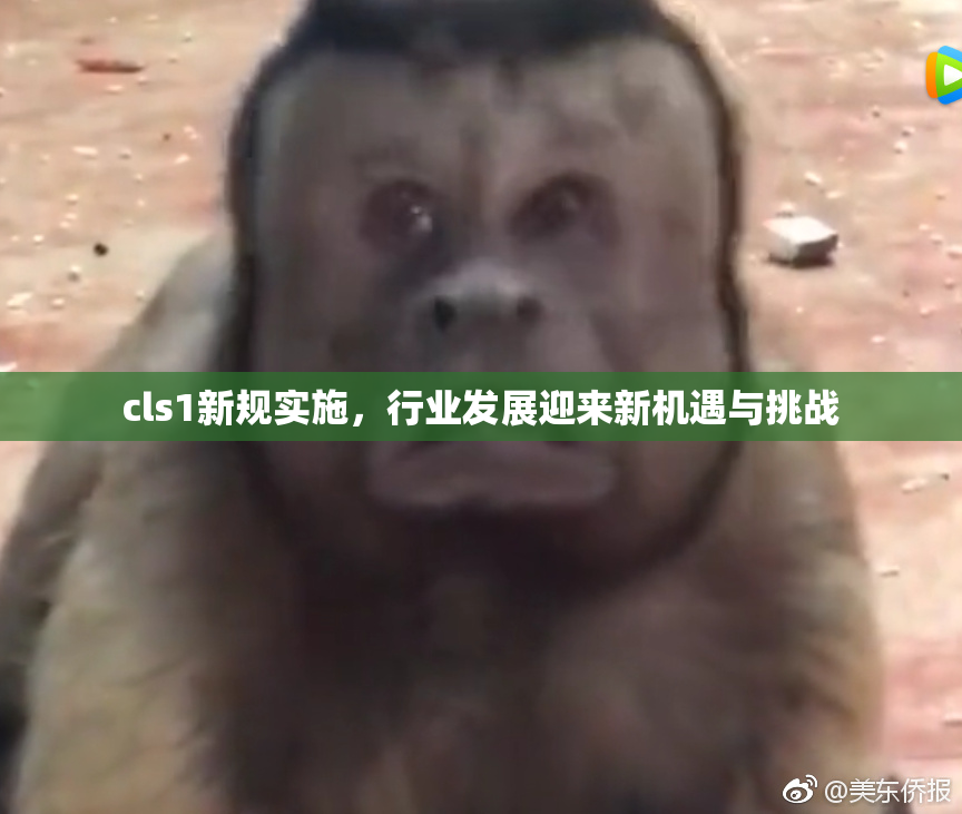 cls1新规实施，行业发展迎来新机遇与挑战