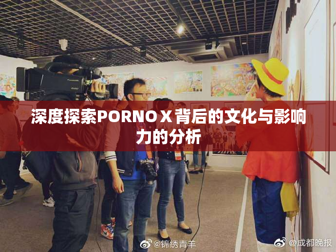 深度探索PORNOⅩ背后的文化与影响力的分析