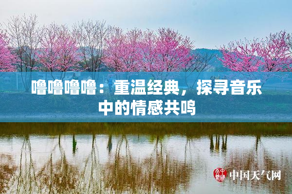 噜噜噜噜：重温经典，探寻音乐中的情感共鸣