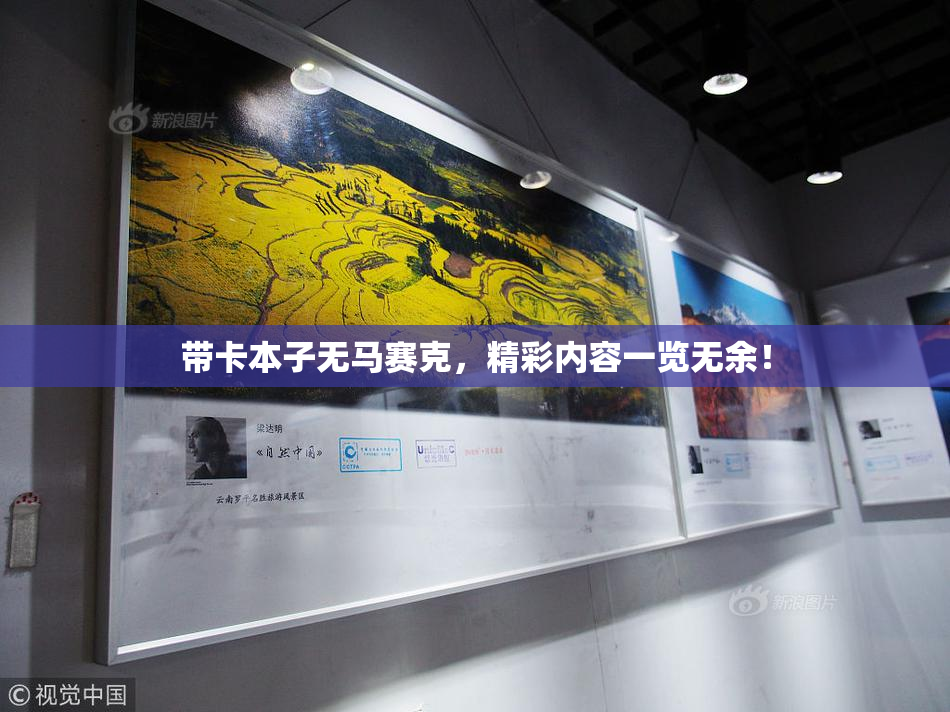 带卡本子无马赛克，精彩内容一览无余！