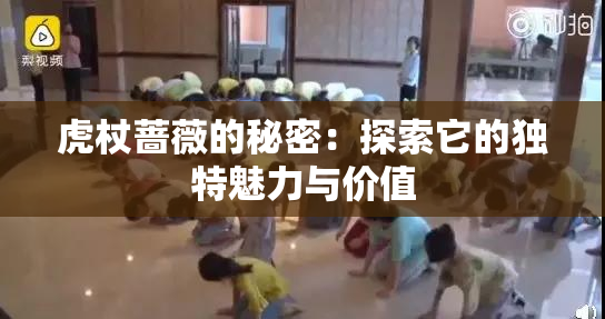 虎杖蔷薇的秘密：探索它的独特魅力与价值