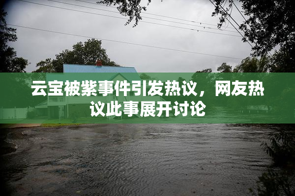 云宝被紫事件引发热议，网友热议此事展开讨论