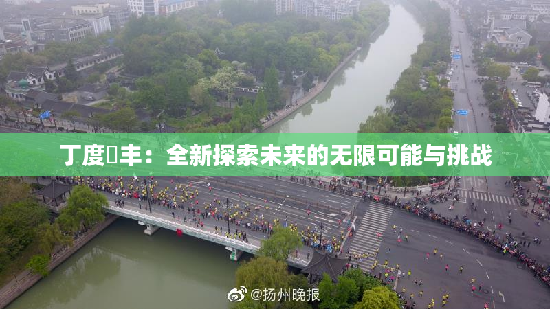 丁度巜丰：全新探索未来的无限可能与挑战